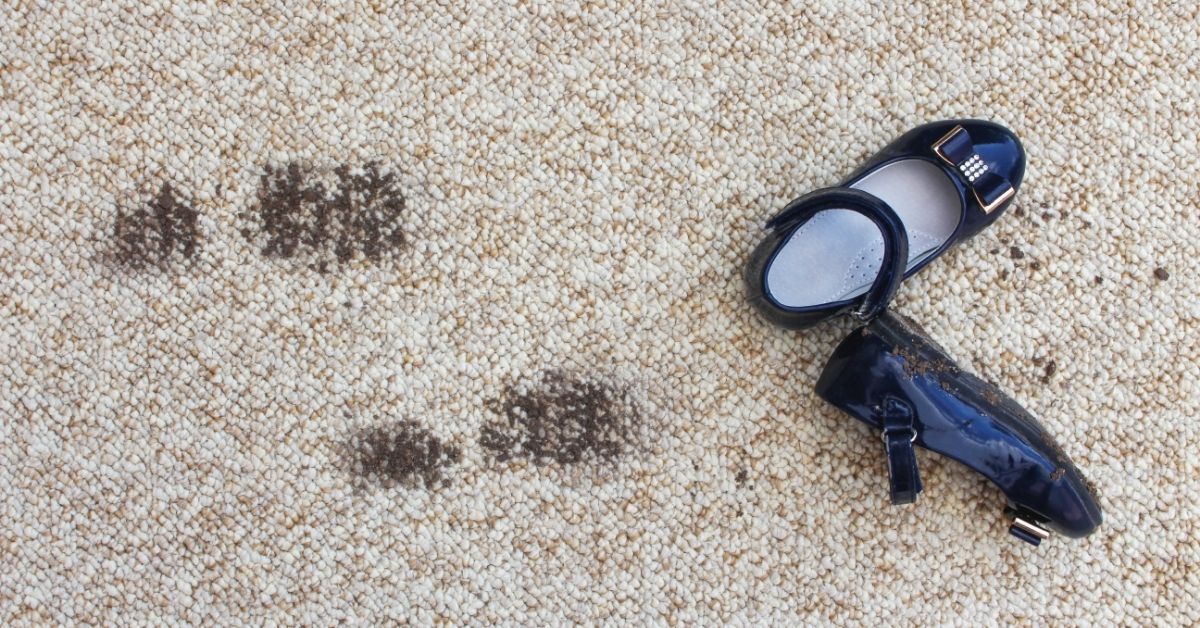 How Often Do I Need To Clean My Carpets