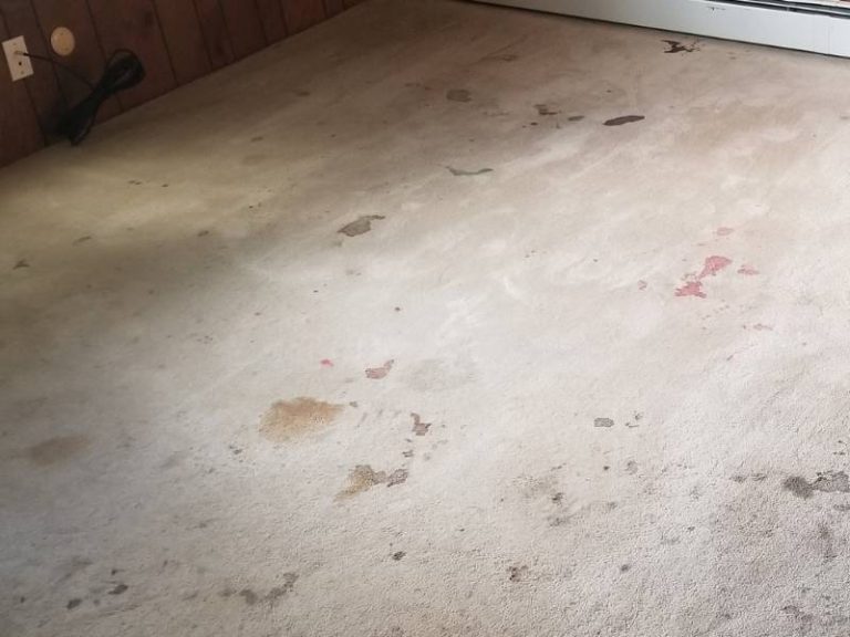 The Hidden Dangers Lurking In Dirty Carpets: Health Risks And Solutions